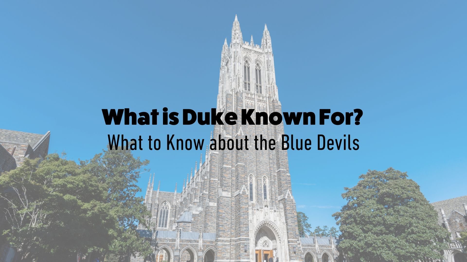 Duke University - A Great Place For Students and Scholars